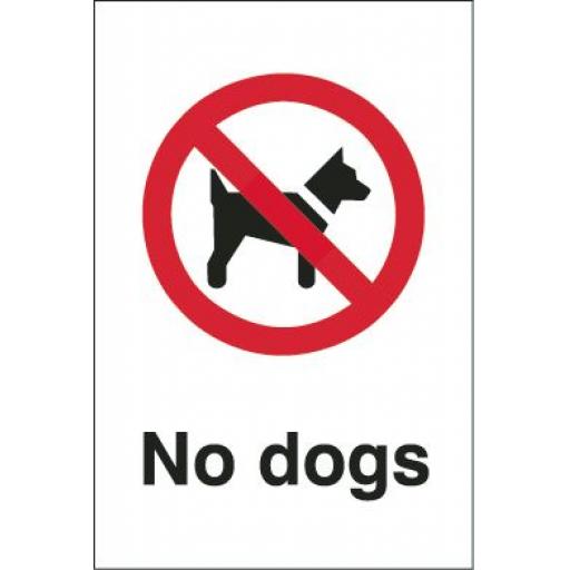 No dogs